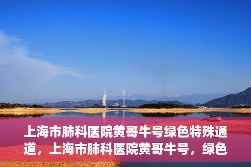 上海市肺科医院黄哥牛号绿色特殊通道，上海市肺科医院黄哥牛号，绿色特殊通道开启健康之门