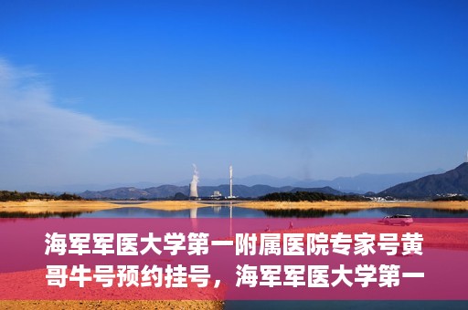 海军军医大学第一附属医院专家号黄哥牛号预约挂号，海军军医大学第一附属医院专家号黄哥牛号预约挂号攻略
