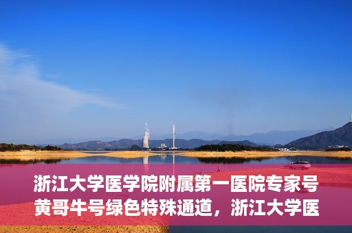 浙江大学医学院附属第一医院专家号黄哥牛号绿色特殊通道，浙江大学医学院附属第一医院专家号黄哥牛号，绿色特殊通道揭秘