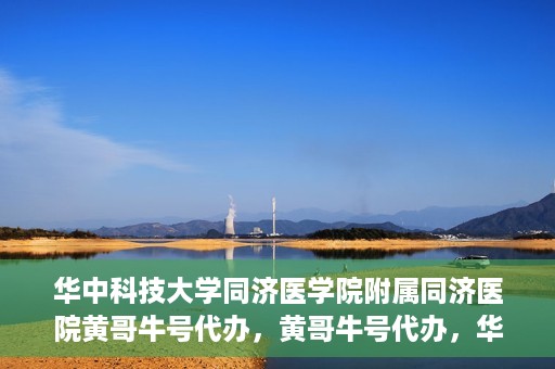 华中科技大学同济医学院附属同济医院黄哥牛号代办，黄哥牛号代办，华中科技大学同济医学院附属同济医院的便捷服务新探