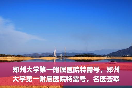 郑州大学第一附属医院特需号，郑州大学第一附属医院特需号，名医荟萃，尊贵医疗体验
