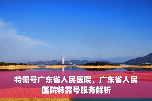 特需号广东省人民医院，广东省人民医院特需号服务解析