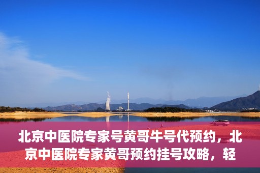 北京中医院专家号黄哥牛号代预约，北京中医院专家黄哥预约挂号攻略，轻松预约牛号专家号