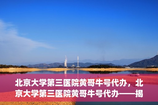 北京大学第三医院黄哥牛号代办，北京大学第三医院黄哥牛号代办——揭秘医疗预约背后的故事