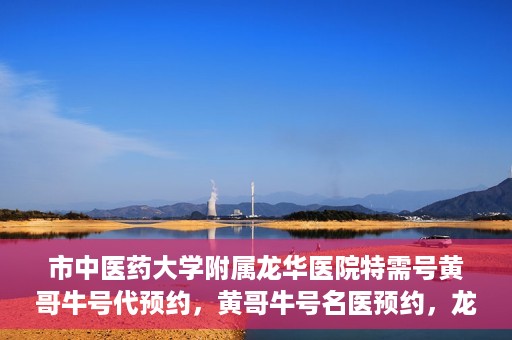 市中医药大学附属龙华医院特需号黄哥牛号代预约，黄哥牛号名医预约，龙华医院特需号预约服务开启