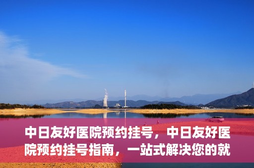 中日友好医院预约挂号，中日友好医院预约挂号指南，一站式解决您的就医预约难题