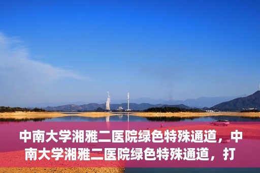 中南大学湘雅二医院绿色特殊通道，中南大学湘雅二医院绿色特殊通道，打造高效医疗服务的先锋典范