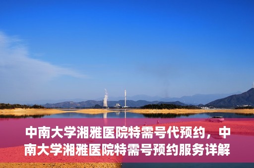 中南大学湘雅医院特需号代预约，中南大学湘雅医院特需号预约服务详解，便捷代预约，就医更无忧