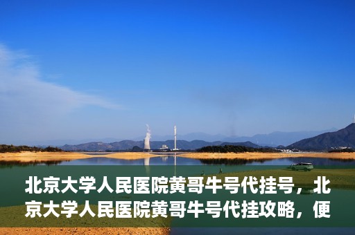 北京大学人民医院黄哥牛号代挂号，北京大学人民医院黄哥牛号代挂攻略，便捷就医新选择
