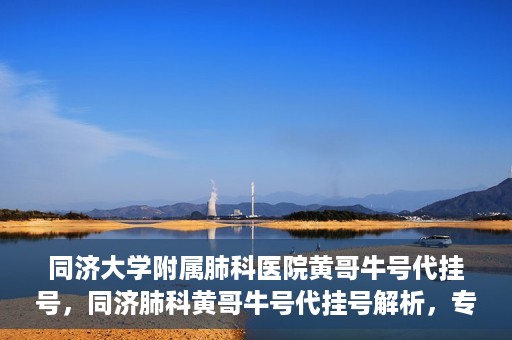 同济大学附属肺科医院黄哥牛号代挂号，同济肺科黄哥牛号代挂号解析，专业医疗服务的深度解读