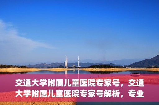 交通大学附属儿童医院专家号，交通大学附属儿童医院专家号解析，专业医疗团队与诊疗服务新篇章