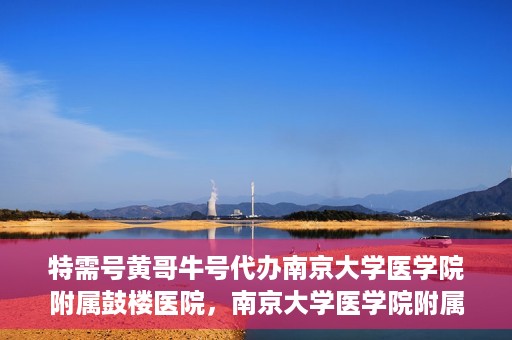 特需号黄哥牛号代办南京大学医学院附属鼓楼医院，南京大学医学院附属鼓楼医院特需号黄哥牛号代办服务揭秘