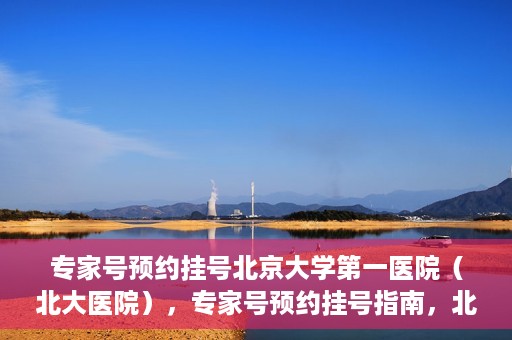 专家号预约挂号北京大学第一医院（北大医院），专家号预约挂号指南，北京大学第一医院（北大医院）就医攻略