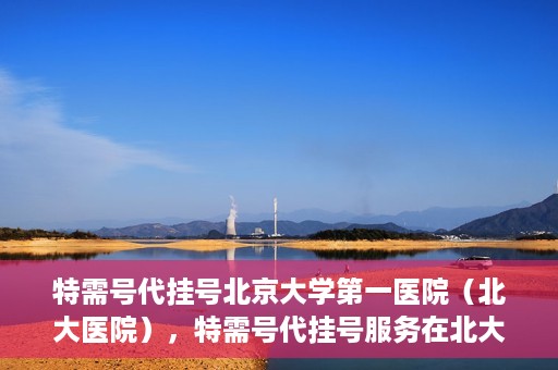 特需号代挂号北京大学第一医院（北大医院），特需号代挂号服务在北大医院，一站式解决您的就医难题