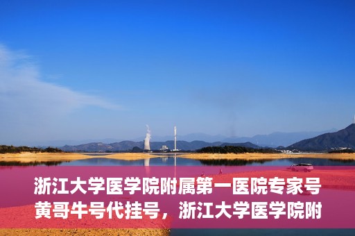 浙江大学医学院附属第一医院专家号黄哥牛号代挂号，浙江大学医学院附属第一医院专家号黄哥牛号代挂号服务解析