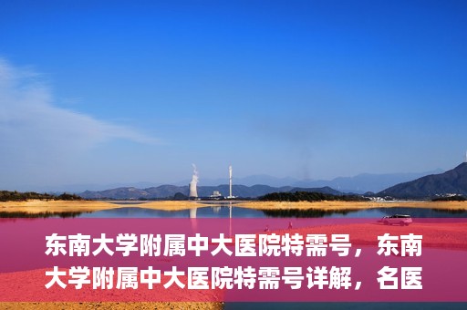 东南大学附属中大医院特需号，东南大学附属中大医院特需号详解，名医荟萃，专业诊疗新体验