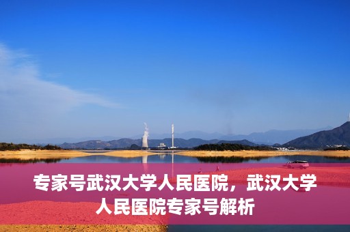 专家号武汉大学人民医院，武汉大学人民医院专家号解析