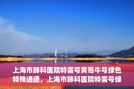 上海市肺科医院特需号黄哥牛号绿色特殊通道，上海市肺科医院特需号绿色通道，黄哥牛号引领健康新航向