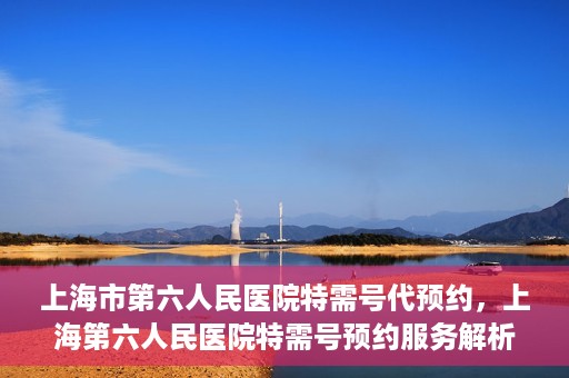 上海市第六人民医院特需号代预约，上海第六人民医院特需号预约服务解析