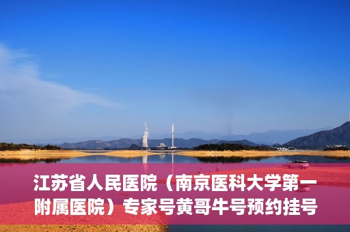 江苏省人民医院（南京医科大学第一附属医院）专家号黄哥牛号预约挂号，江苏省人民医院专家号预约挂号攻略，黄哥牛号预约秘籍揭秘