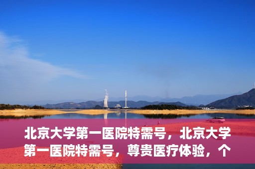 北京大学第一医院特需号，北京大学第一医院特需号，尊贵医疗体验，个性化健康守护
