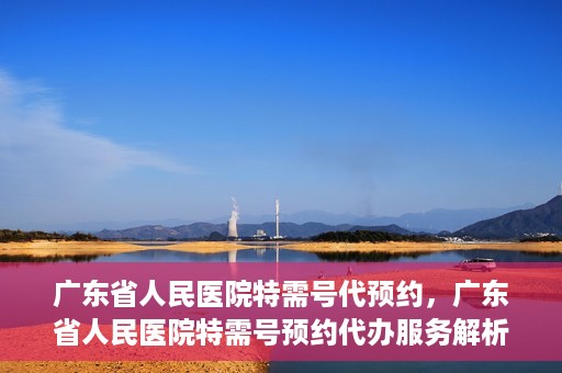 广东省人民医院特需号代预约，广东省人民医院特需号预约代办服务解析