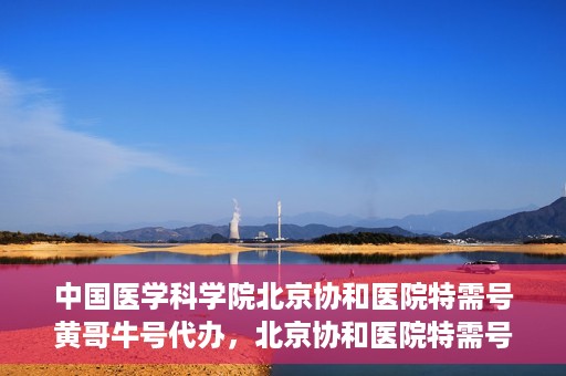 中国医学科学院北京协和医院特需号黄哥牛号代办，北京协和医院特需号黄哥牛号代办服务解析