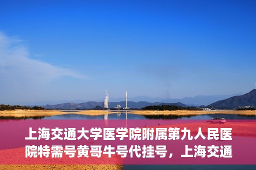 上海交通大学医学院附属第九人民医院特需号黄哥牛号代挂号，上海交通大学医学院附属第九人民医院特需号黄哥牛号挂号攻略
