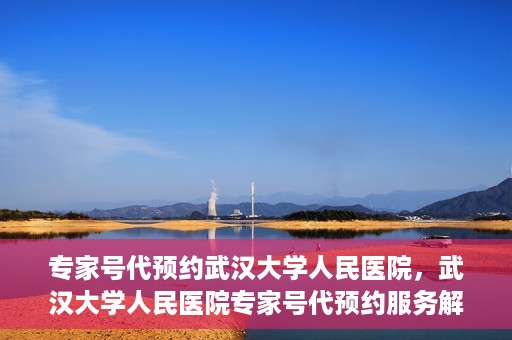专家号代预约武汉大学人民医院，武汉大学人民医院专家号代预约服务解析