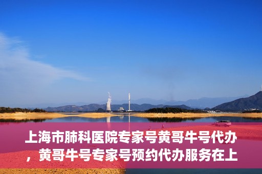 上海市肺科医院专家号黄哥牛号代办，黄哥牛号专家号预约代办服务在上海市肺科医院揭秘