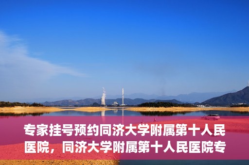 专家挂号预约同济大学附属第十人民医院，同济大学附属第十人民医院专家挂号预约解析