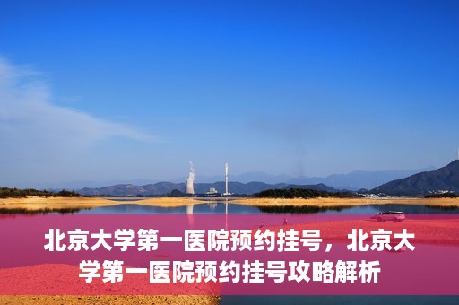 北京大学第一医院预约挂号，北京大学第一医院预约挂号攻略解析