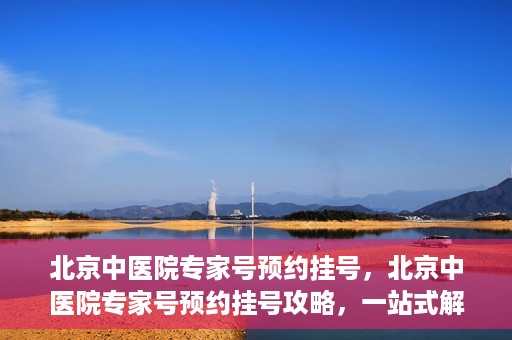 北京中医院专家号预约挂号，北京中医院专家号预约挂号攻略，一站式解决您的挂号难题