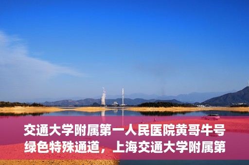 交通大学附属第一人民医院黄哥牛号绿色特殊通道，上海交通大学附属第一人民医院黄哥牛号，绿色特殊通道开启健康之门