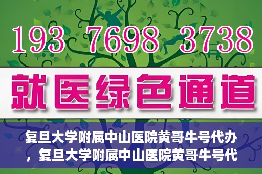 复旦大学附属中山医院黄哥牛号代办，复旦大学附属中山医院黄哥牛号代办，权威医疗资源的深度解读与便捷服务体验