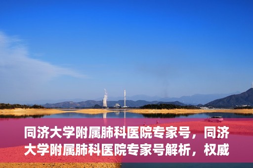同济大学附属肺科医院专家号，同济大学附属肺科医院专家号解析，权威医疗团队的专业解读与诊疗服务