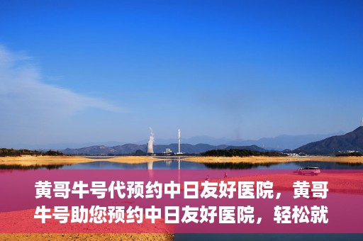 黄哥牛号代预约中日友好医院，黄哥牛号助您预约中日友好医院，轻松就医新体验