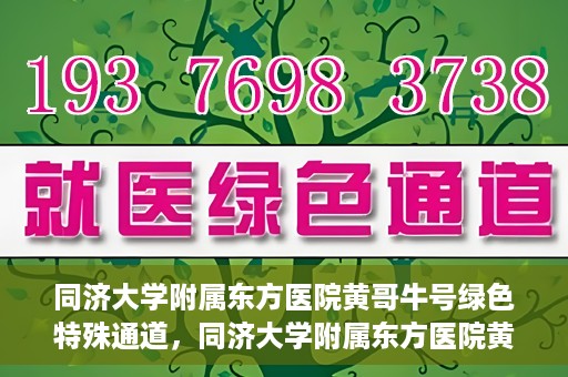 同济大学附属东方医院黄哥牛号绿色特殊通道，同济大学附属东方医院黄哥牛号，绿色特殊通道开启健康之门