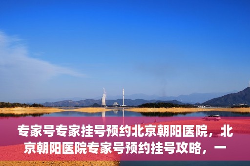 专家号专家挂号预约北京朝阳医院，北京朝阳医院专家号预约挂号攻略，一站式解决您的就医需求