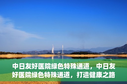 中日友好医院绿色特殊通道，中日友好医院绿色特殊通道，打造健康之路的新篇章