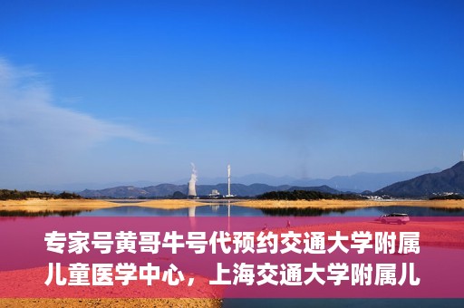 专家号黄哥牛号代预约交通大学附属儿童医学中心，上海交通大学附属儿童医学中心专家号黄哥牛号预约服务启动