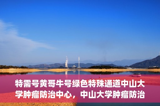 特需号黄哥牛号绿色特殊通道中山大学肿瘤防治中心，中山大学肿瘤防治中心特需号黄哥牛号绿色特殊通道揭秘