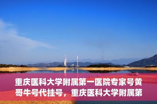 重庆医科大学附属第一医院专家号黄哥牛号代挂号，重庆医科大学附属第一医院专家号黄哥牛号预约挂号攻略