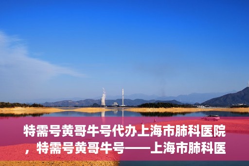 特需号黄哥牛号代办上海市肺科医院，特需号黄哥牛号——上海市肺科医院代办服务解析