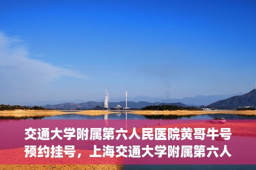 交通大学附属第六人民医院黄哥牛号预约挂号，上海交通大学附属第六人民医院黄哥牛号预约挂号攻略