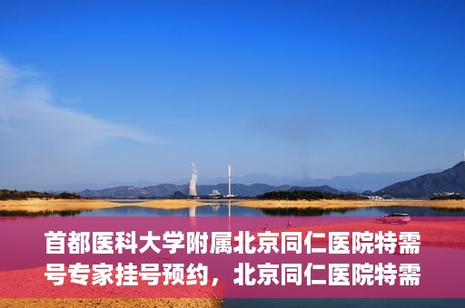 首都医科大学附属北京同仁医院特需号专家挂号预约，北京同仁医院特需号专家挂号预约攻略与详解